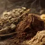 Bergwurzel Pulver in Glas mit Löffel auf Holz