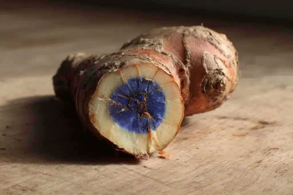 Aufgeschnittener Ingwer mit blauem Ring im Inneren